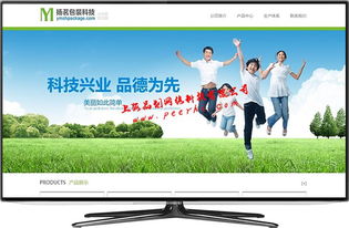 專(zhuān)業(yè)松江網(wǎng)站建設(shè) 上海品劃網(wǎng)絡(luò)公司助您打造卓越在線形象