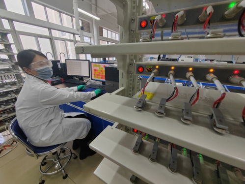 中國首創(chuàng)！洛陽牡丹殼變廢為寶，開啟鈉電池負極材料新紀元